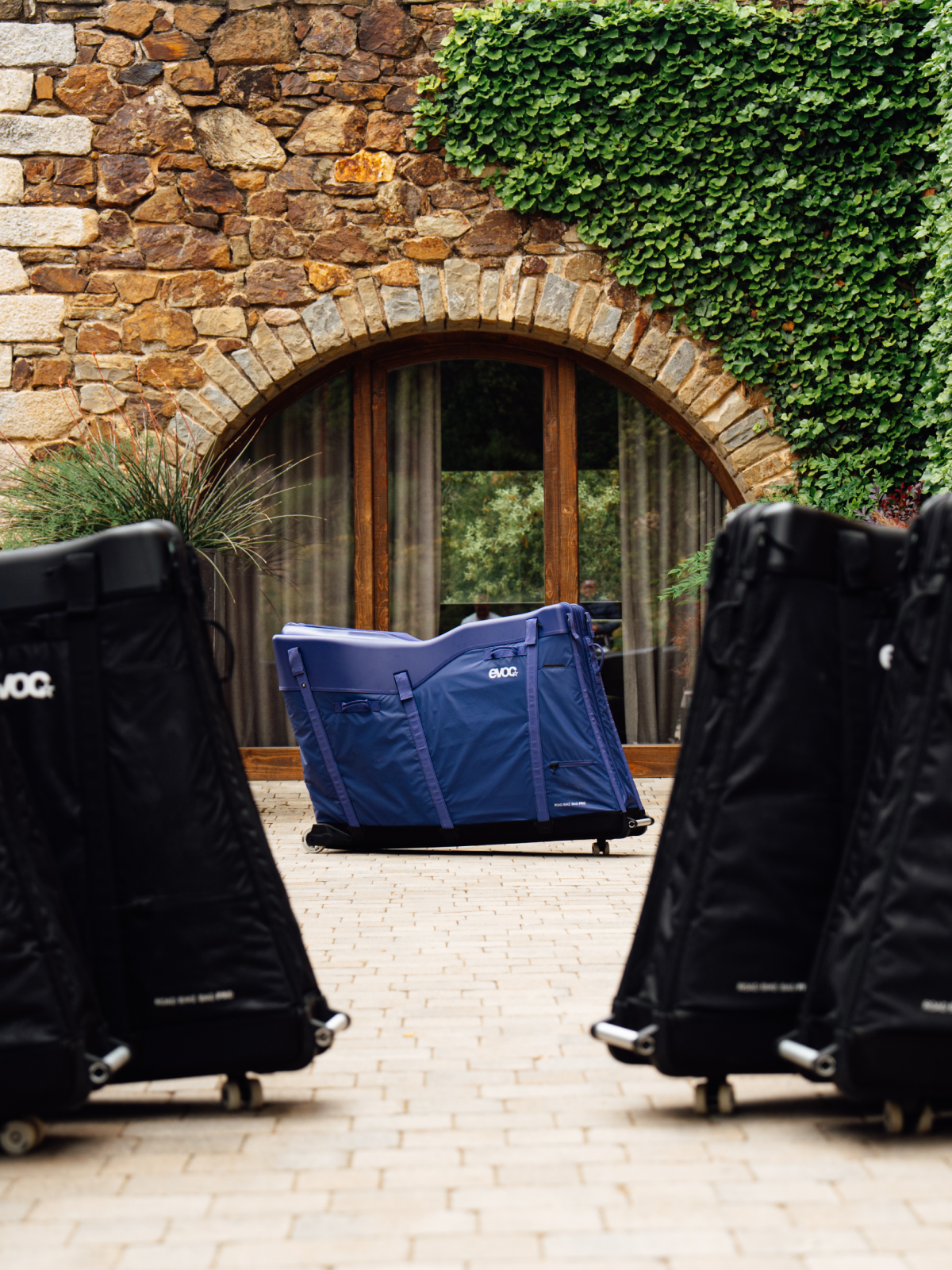 ROAD BIKE BAG PRO violet