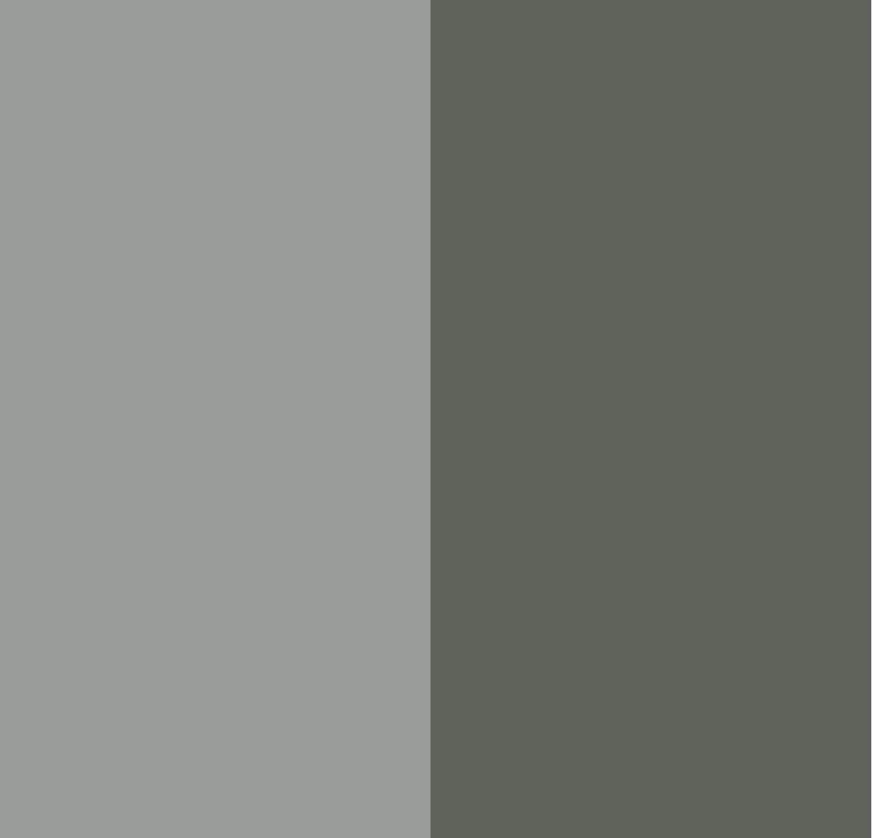 stone - dark olive