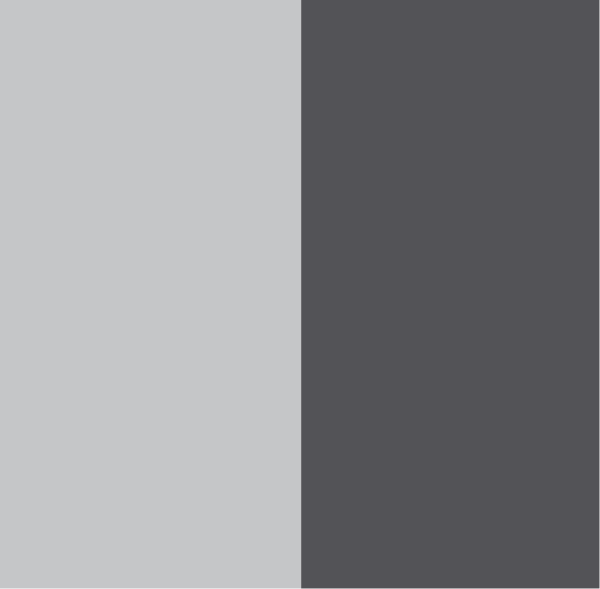 silver - carbon grey